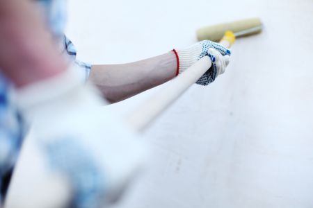 Alpine house painter