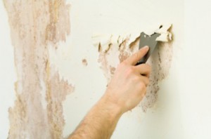 Get A Professional To Remove Your Wallpaper