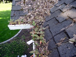 New Jersey Gutter Cleaning
